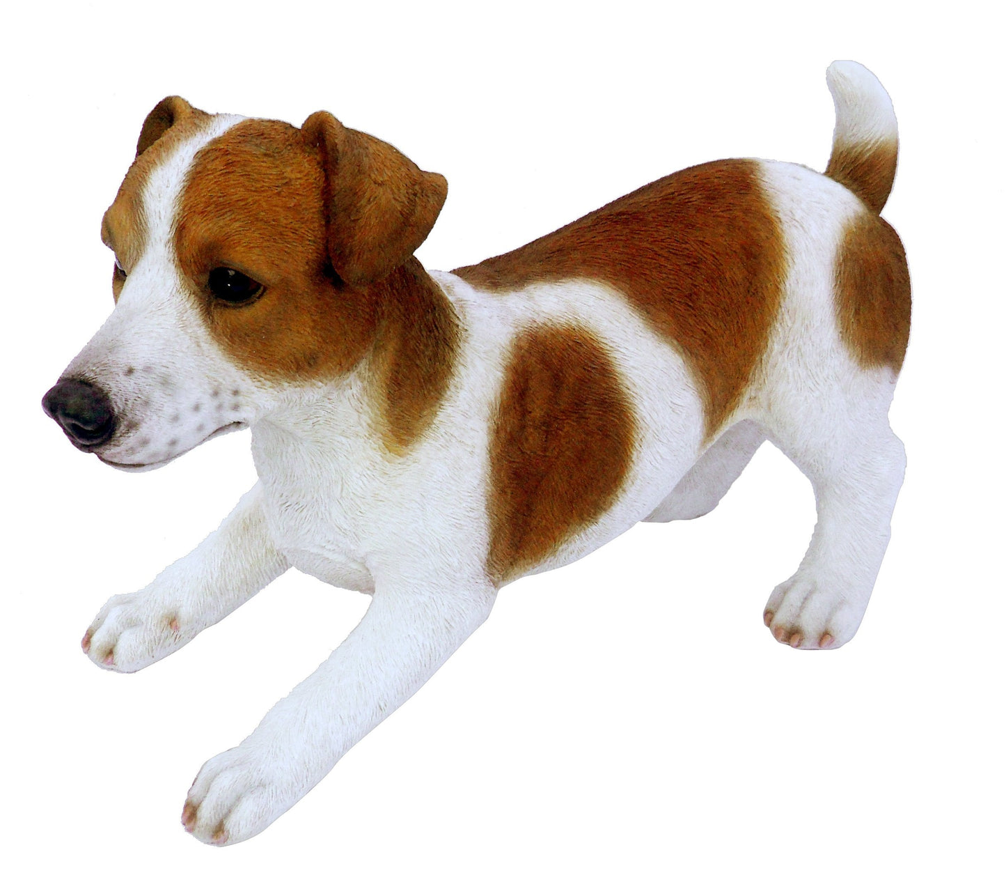 Real Life XL Jack Russell Dog Garden Ornament (SizeA)