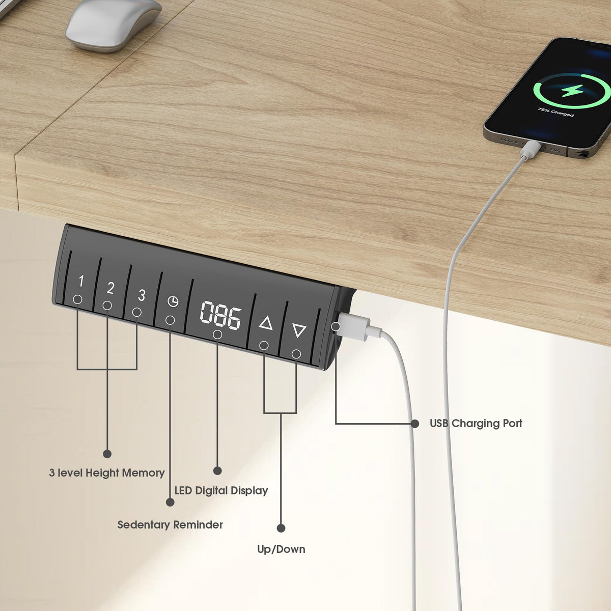 Homall Height Adjustable Electric Standing Desk 140x70cm with USB Charging Sit Stand Desk with Time Reminder Stand up Table 3 Memory Setting Electric