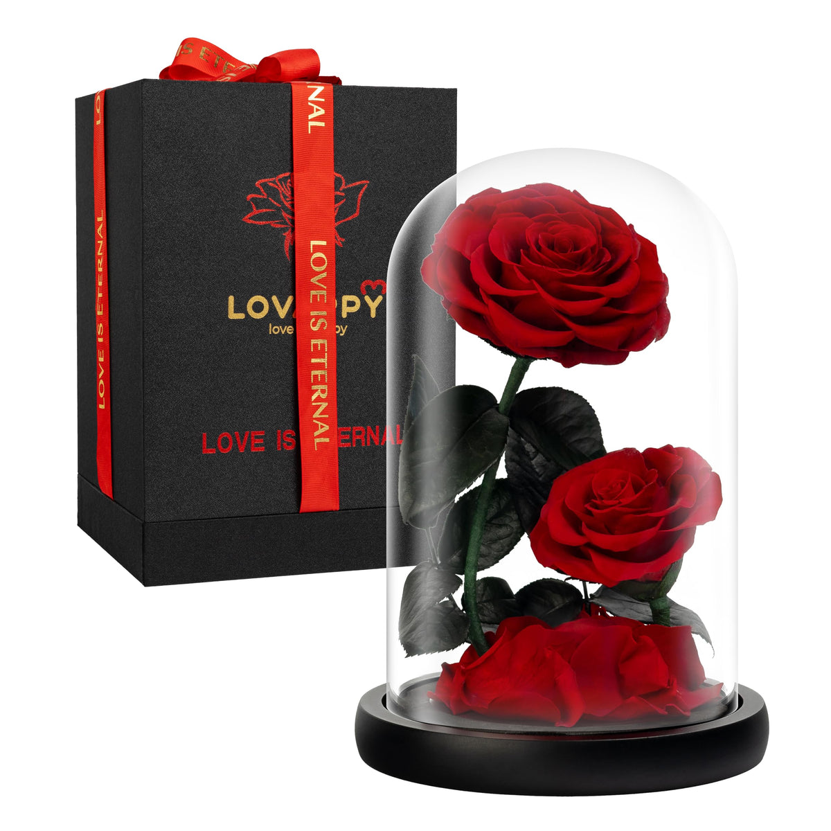 LOVAPPY Eternal Flower in a Glass Dome: Preserved Rose - The Perfect Infinity Forever Rose Gift for Her on Valentine's Day, Mother's Day, Birthday,