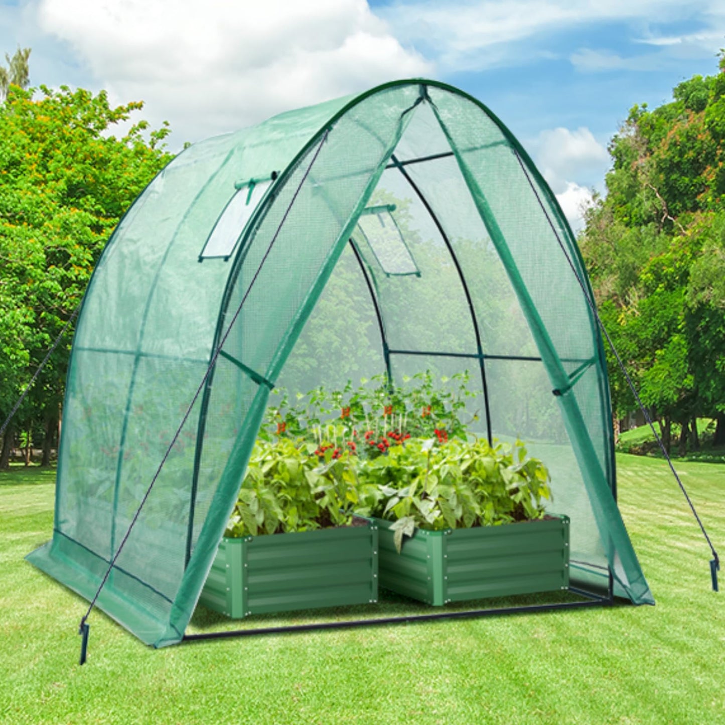 Ohuhu Portable Tunnel Greenhouse Outdoor: Heavy Duty Walk in Green House with Mesh Windows Durable Plastic PE Cover for Outside, 1.8x1.8x2m, Green