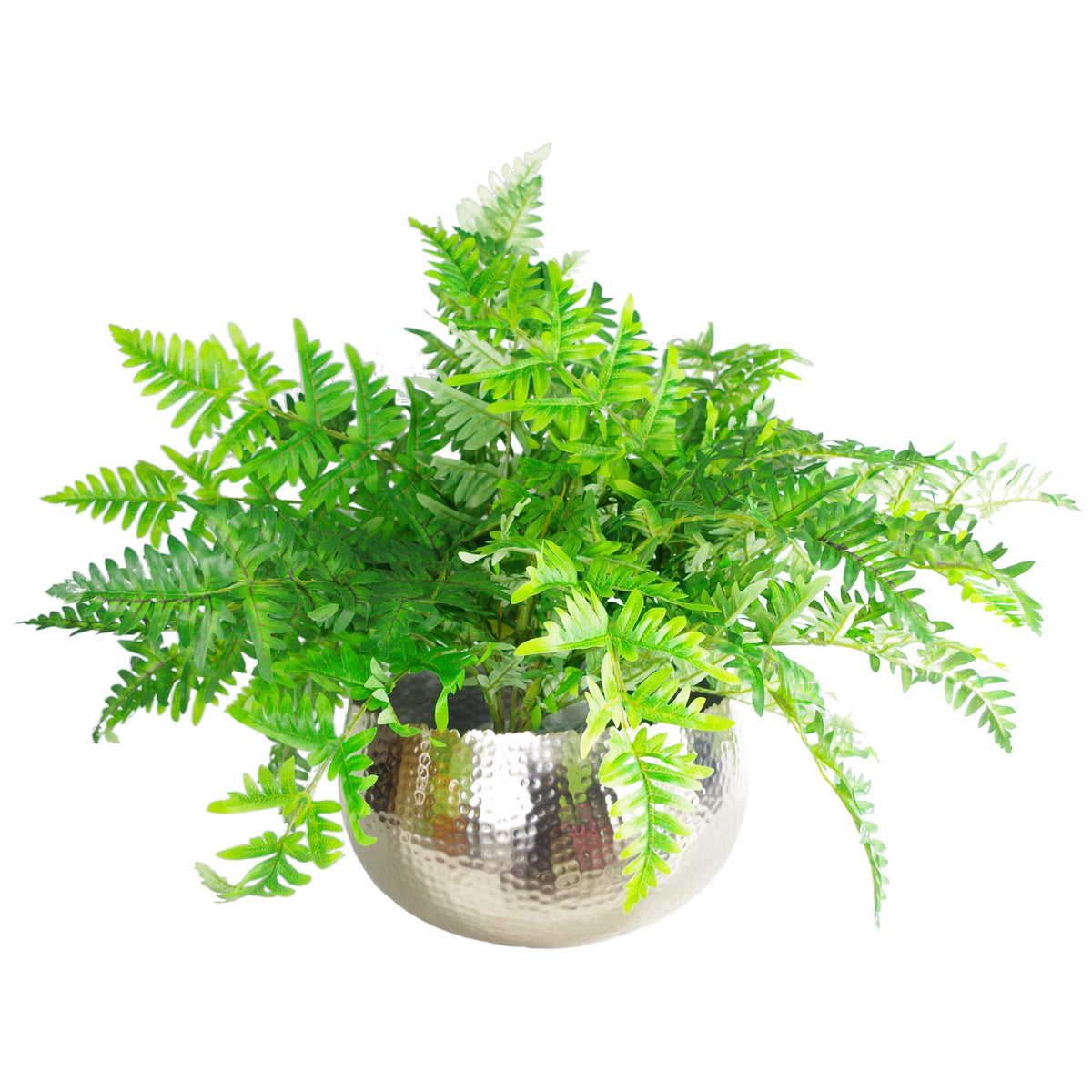 Leaf LEAF-7311 Large Metal Planter 32 x 20cm Hammered Silver Colour-Curvy Edge, 32cm x 20cm