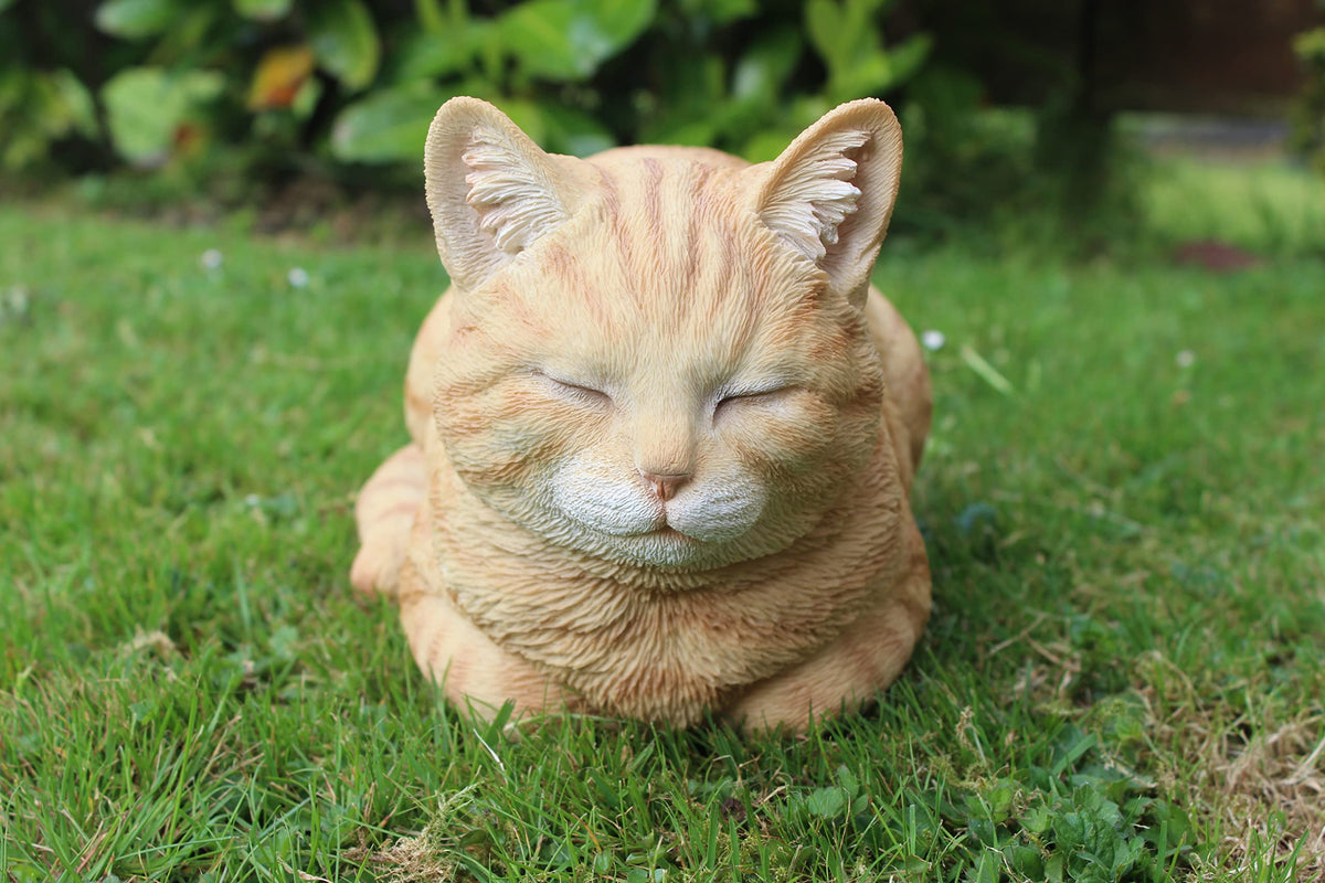 Vivid Arts Ginger Dreaming Cat Resin Ornament