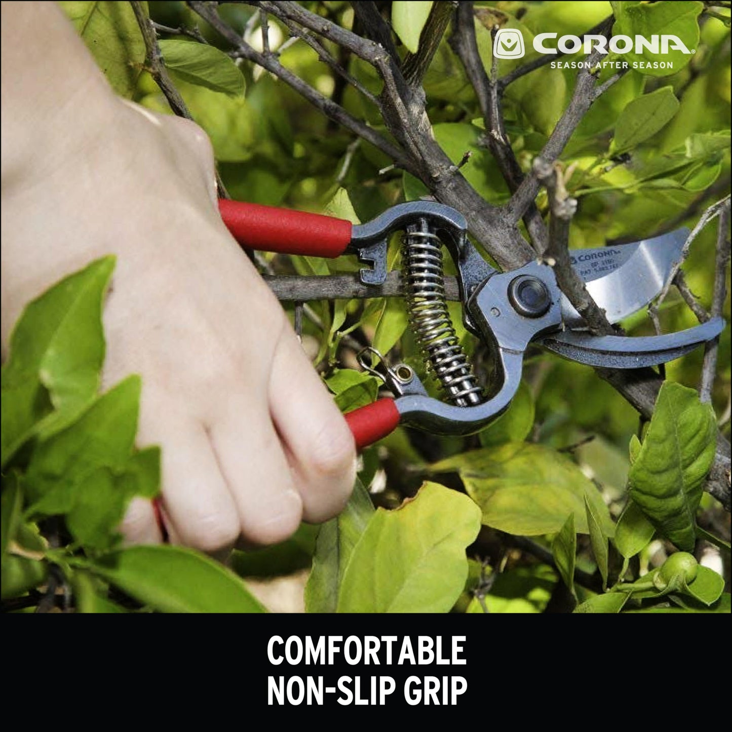Corona BP 3180D ClassicCUT Forged Bypass Pruner, 1-Inch Cut, Red, 2.54 cm