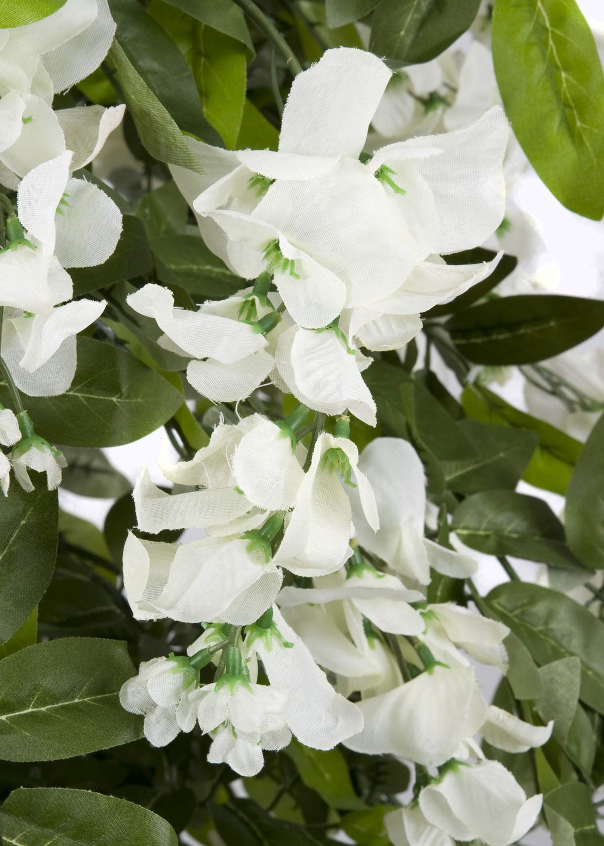 GreenBrokers Premium Artificial Wisteria 150cm/5ft Potted Plant, White Tree 5ft, 150cm