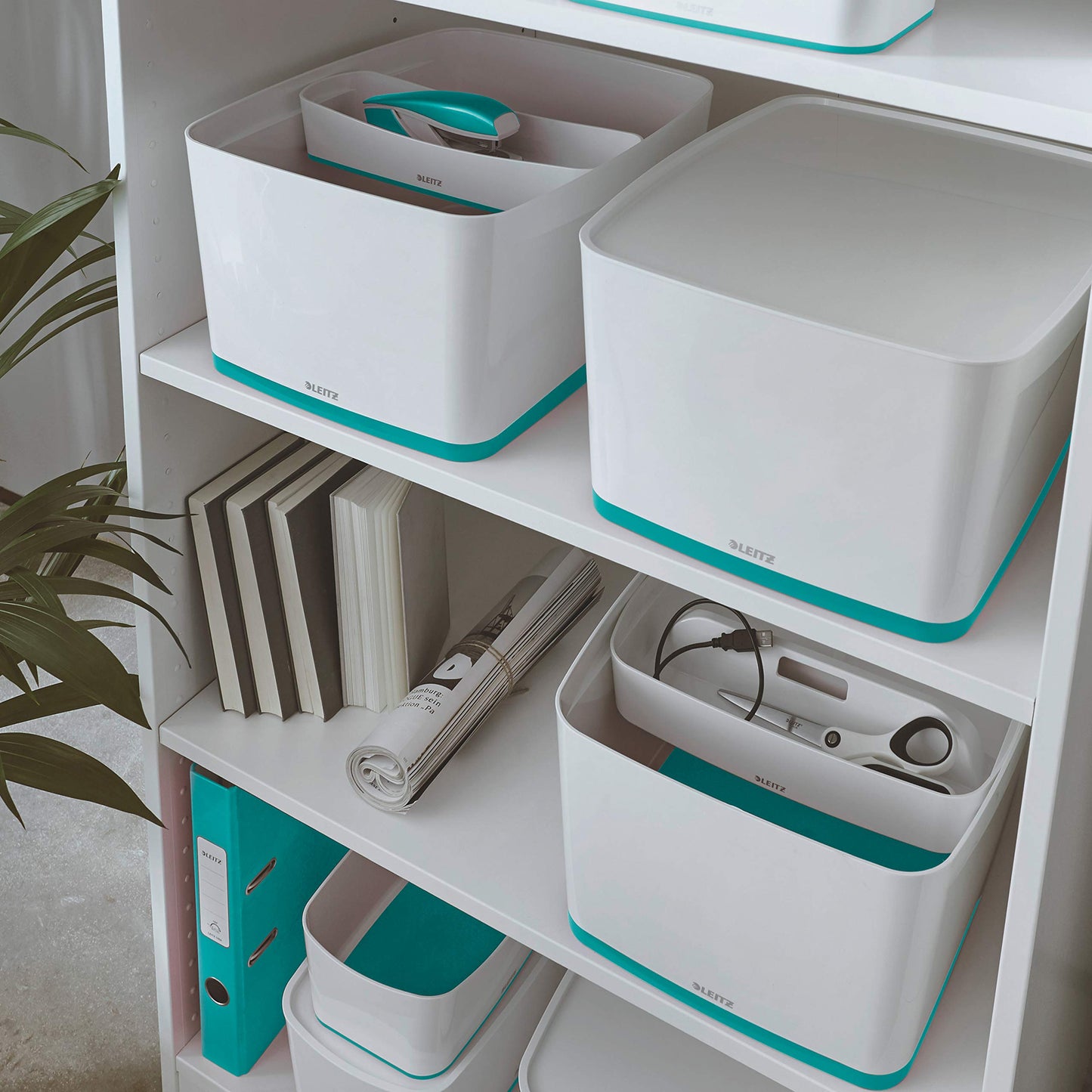 Leitz MyBox WOW Large with lid, Storage Box, Ice Blue