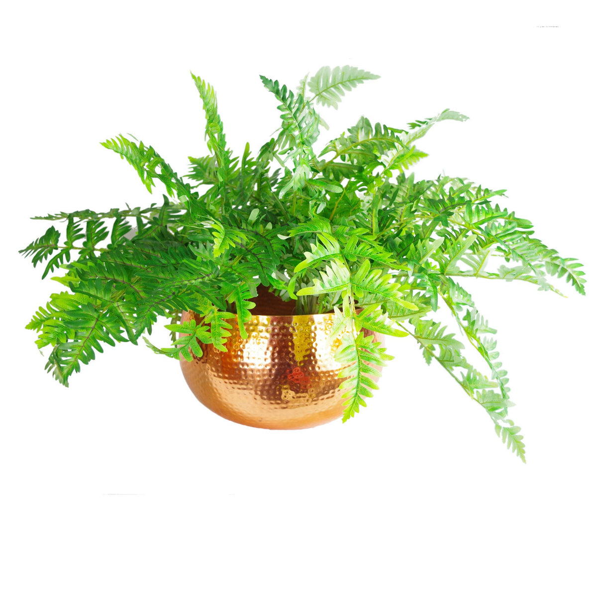 Leaf LEAF-7304 Large Metal Planter 32 x 20cm Hammered Copper Colour-Straight Edge