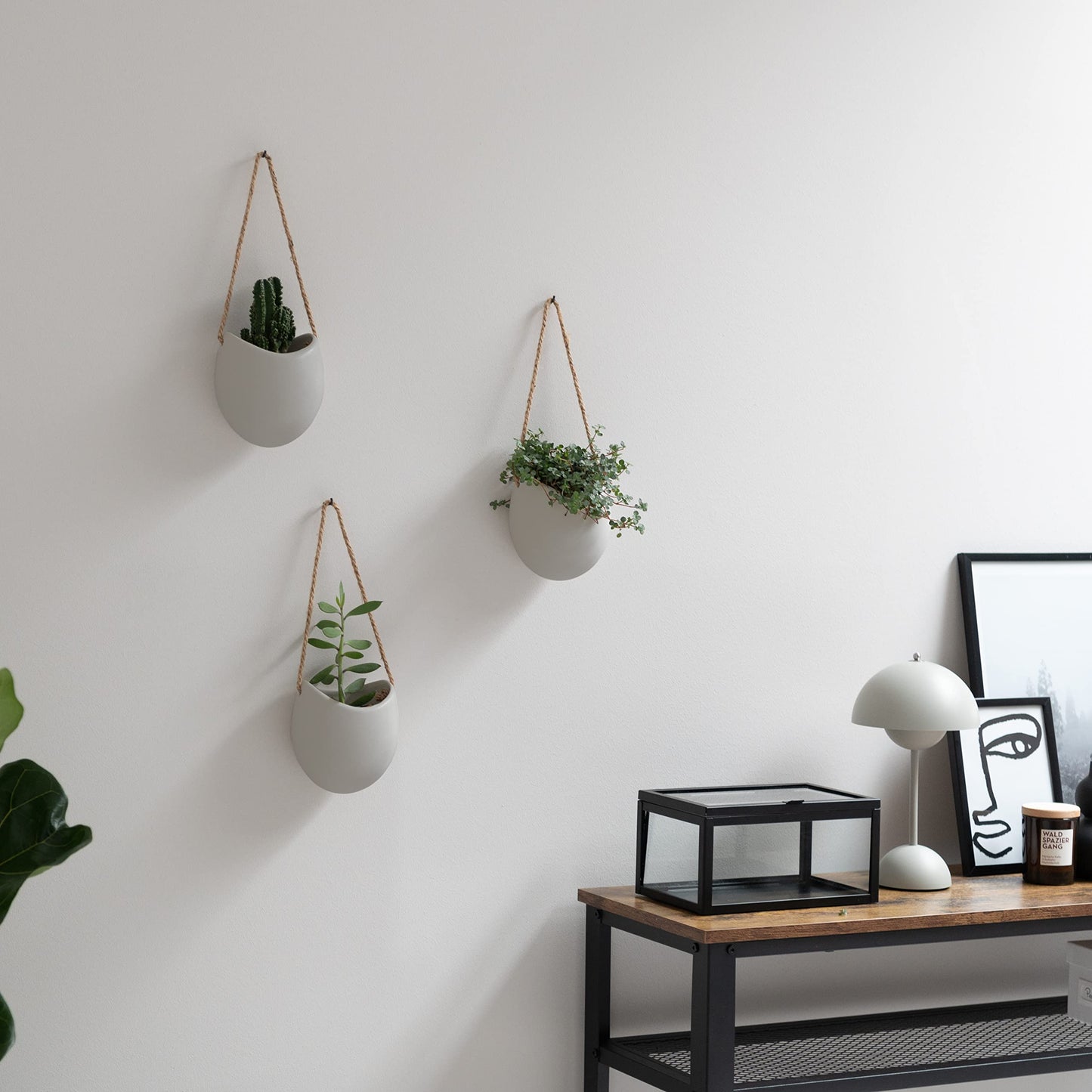 Kazai. Wall Planters -Ellie- | Hanging Ceramic Plant Pots, 3 Pieces, for Succulents and more | Wall Decoration for Indoors, Balcony and Garden | Light