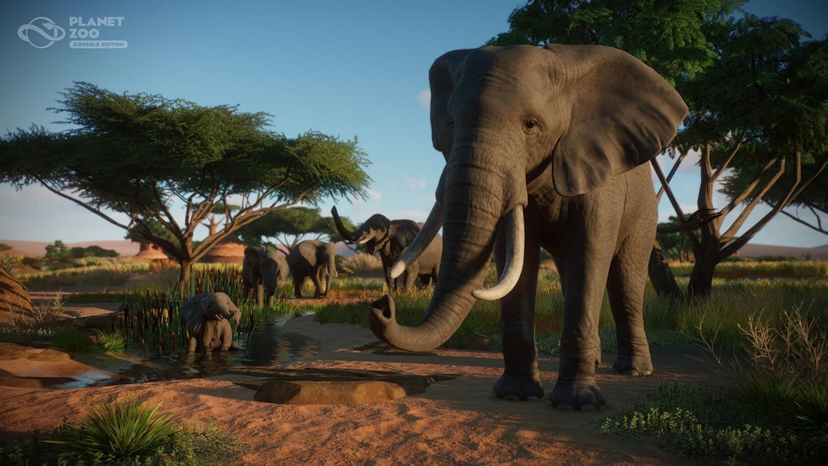 Planet Zoo: Console Edition (PlayStation 5)