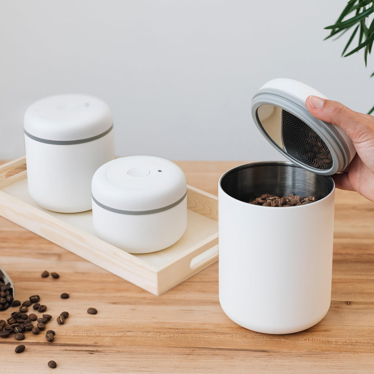 Fellow Atmos Vacuum Canister for Coffee & Food Storage - Airtight Sealed Container, Matte White, Small Coffee Bean Storage, 0.4 Litre Jar