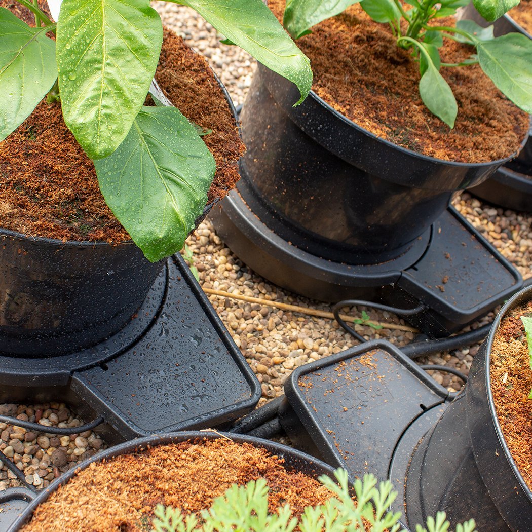 PLANT IT GoGro Automatic Watering Systems Essential 2 Plant Kit - 15L Pots