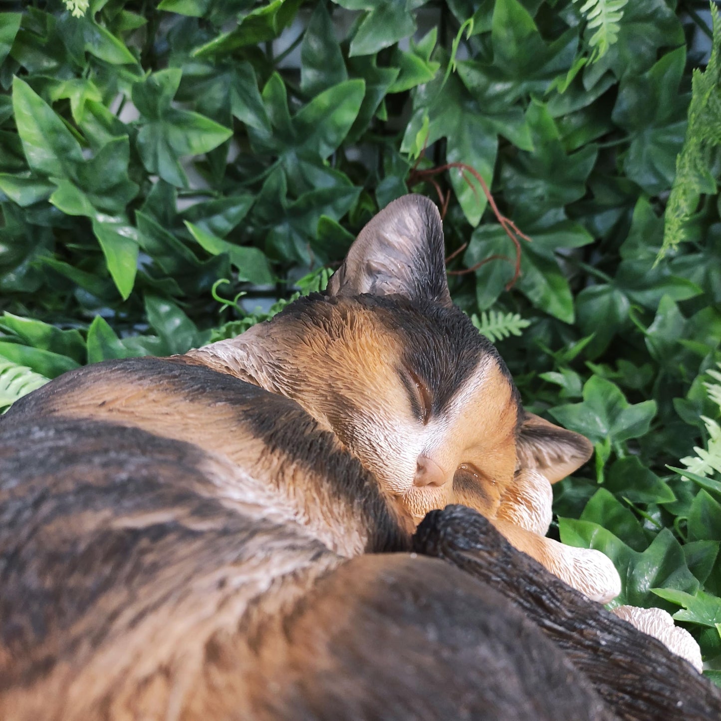 Vivid Arts Real Life Sleeping Cat Tortoiseshell XRL-ZC32-B