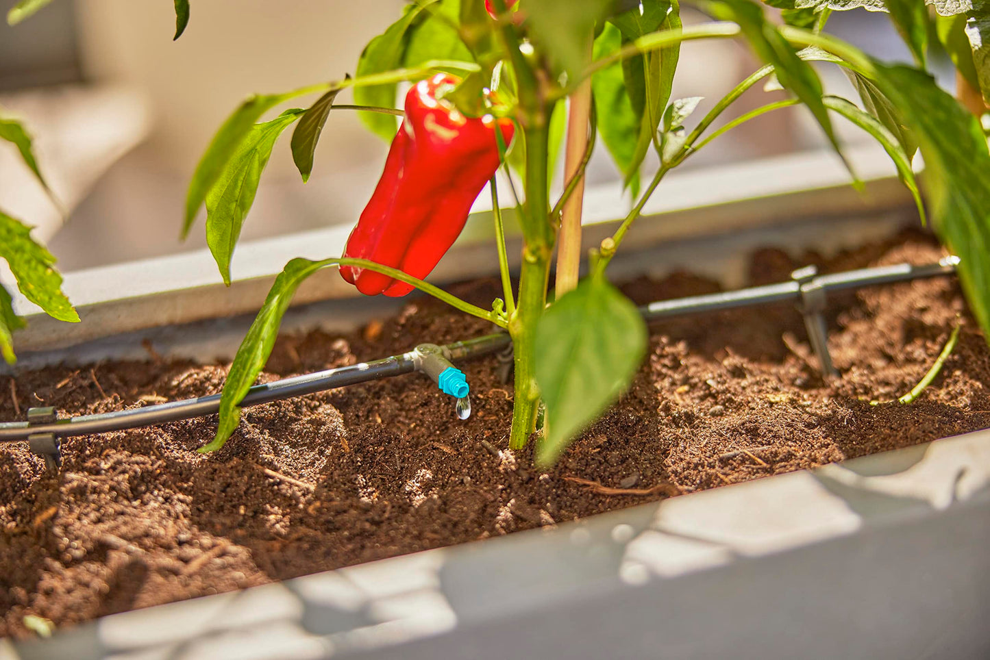 Gardena Micro-Drip-System Drip Irrigation Set Terrace (30 plants): Starter set, ready to use, water-saving irrigation system, simple & flexible