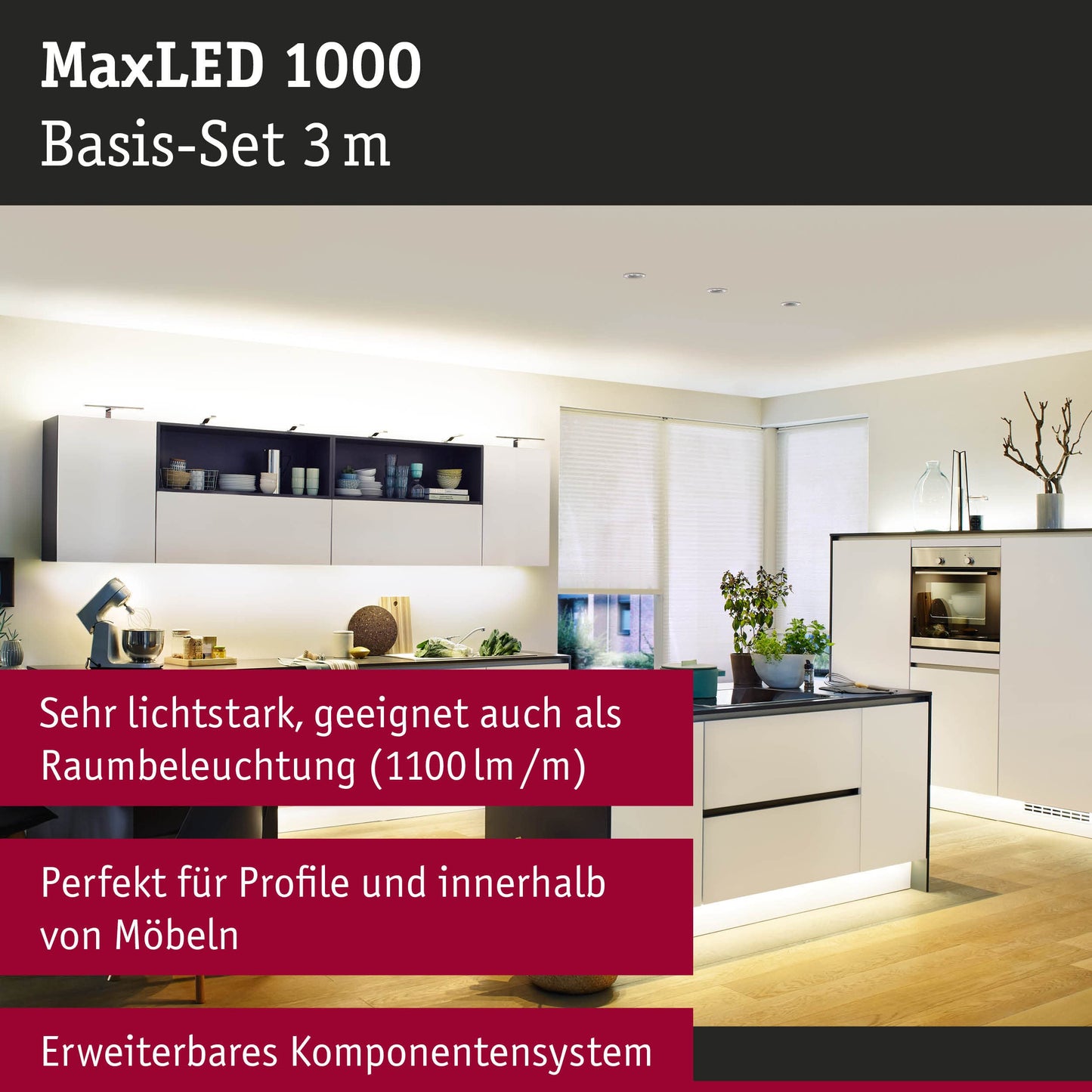 Function MaxLED 1000 Basicset 3m Warm White 40W 230/24V 75VA Silver