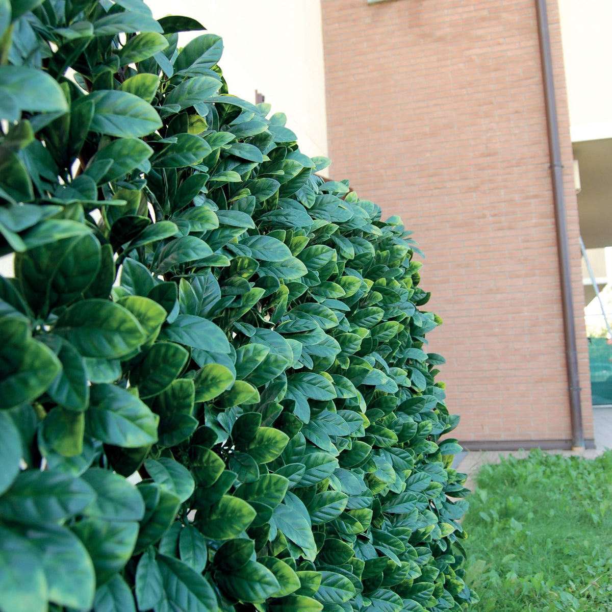 Tenax 1A150277 Synthetic Hedge on Extendible Trellis 200 x 4 x 100 cm Green
