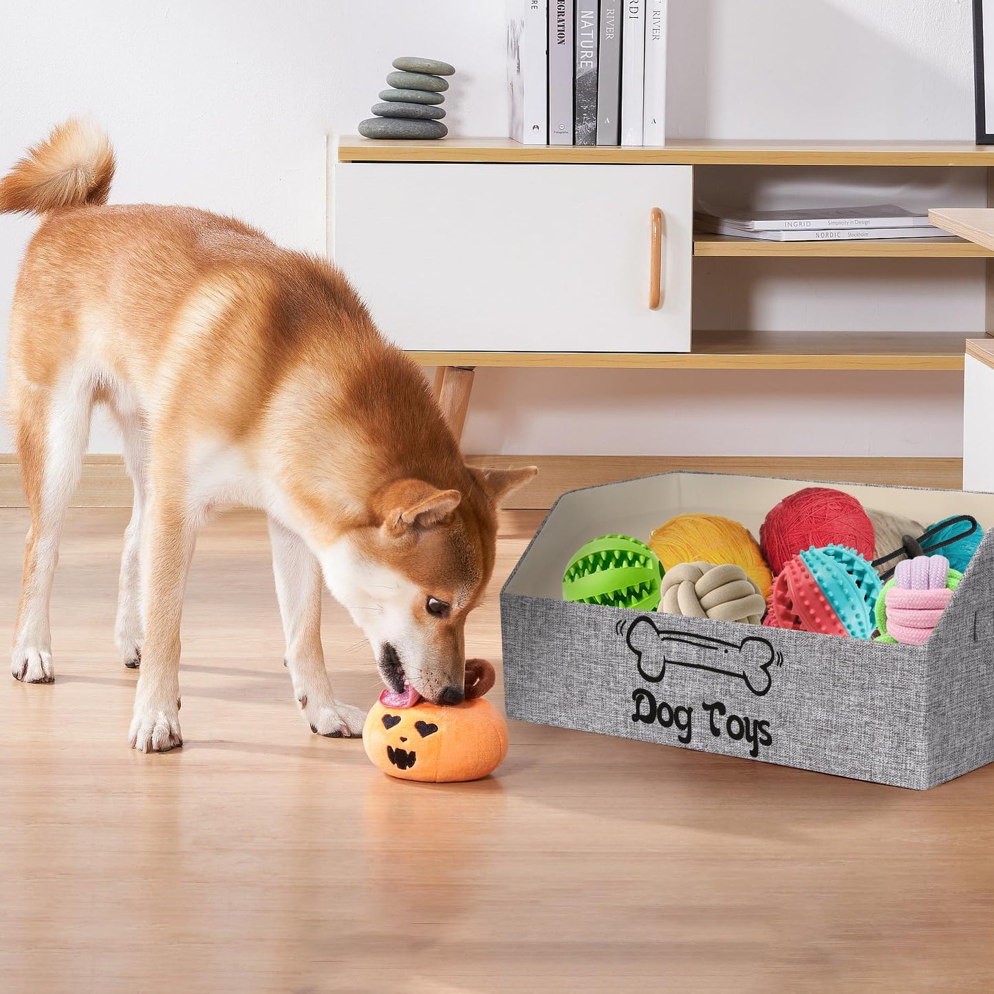 BinWhiz Large Dog Toy Box Storage, 50x29x22 cm Toy Basket for Dogs and Puppies, Collapsible Pet Storage Box Bin Chest Holder Organizer with Handles