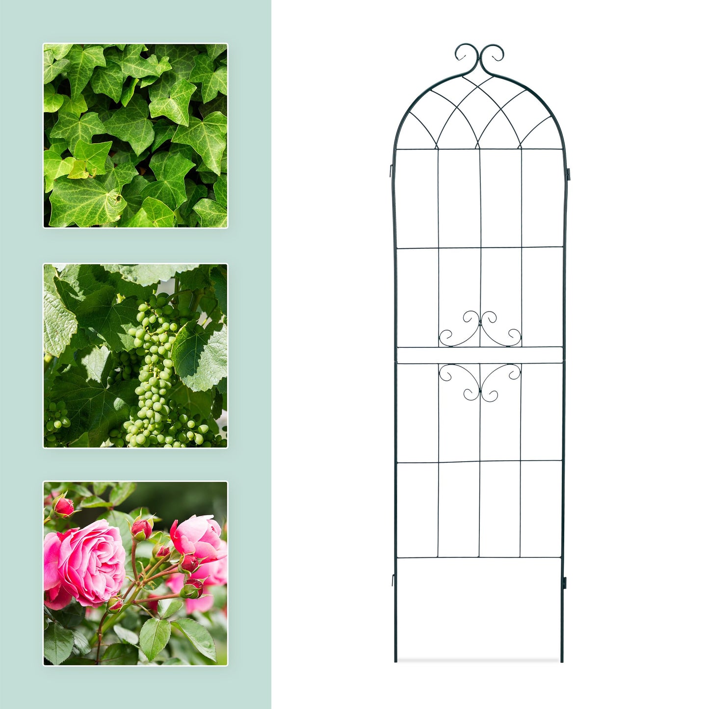 Relaxdays Trellis Set of 2, Metal, 180 x 50 cm, Garden Climbing Aid, Vintage, Curved, Interlocking, Dark Green
