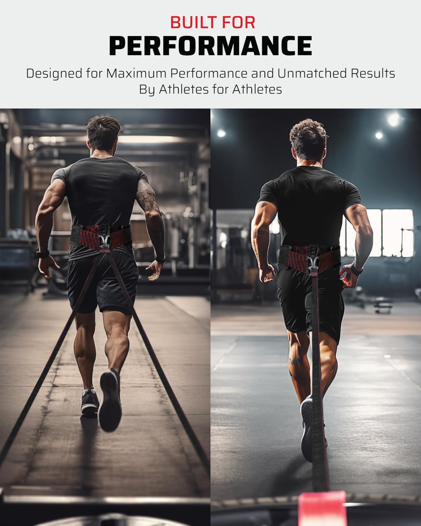 THEFITGUY Belt for Pulling, Strength Training, Adjustable Closure, 2 Straps & 4 Hooks Included