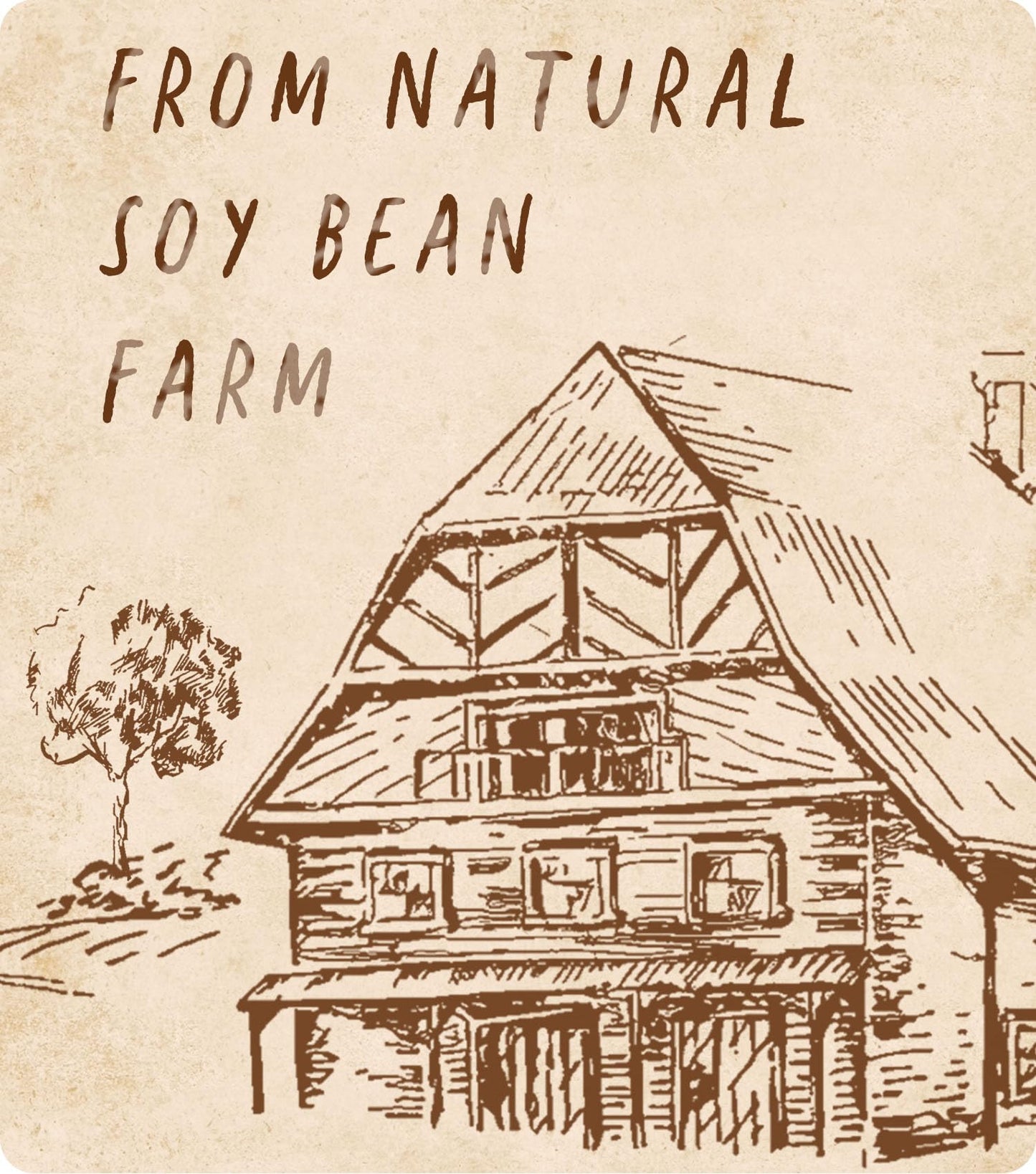 Soy Wax, BOYUJK Premium Natural Candle Wax, 100% Soy Wax for Candle Making from Organic Farm, No additives, Harmless and Pure (4KG)