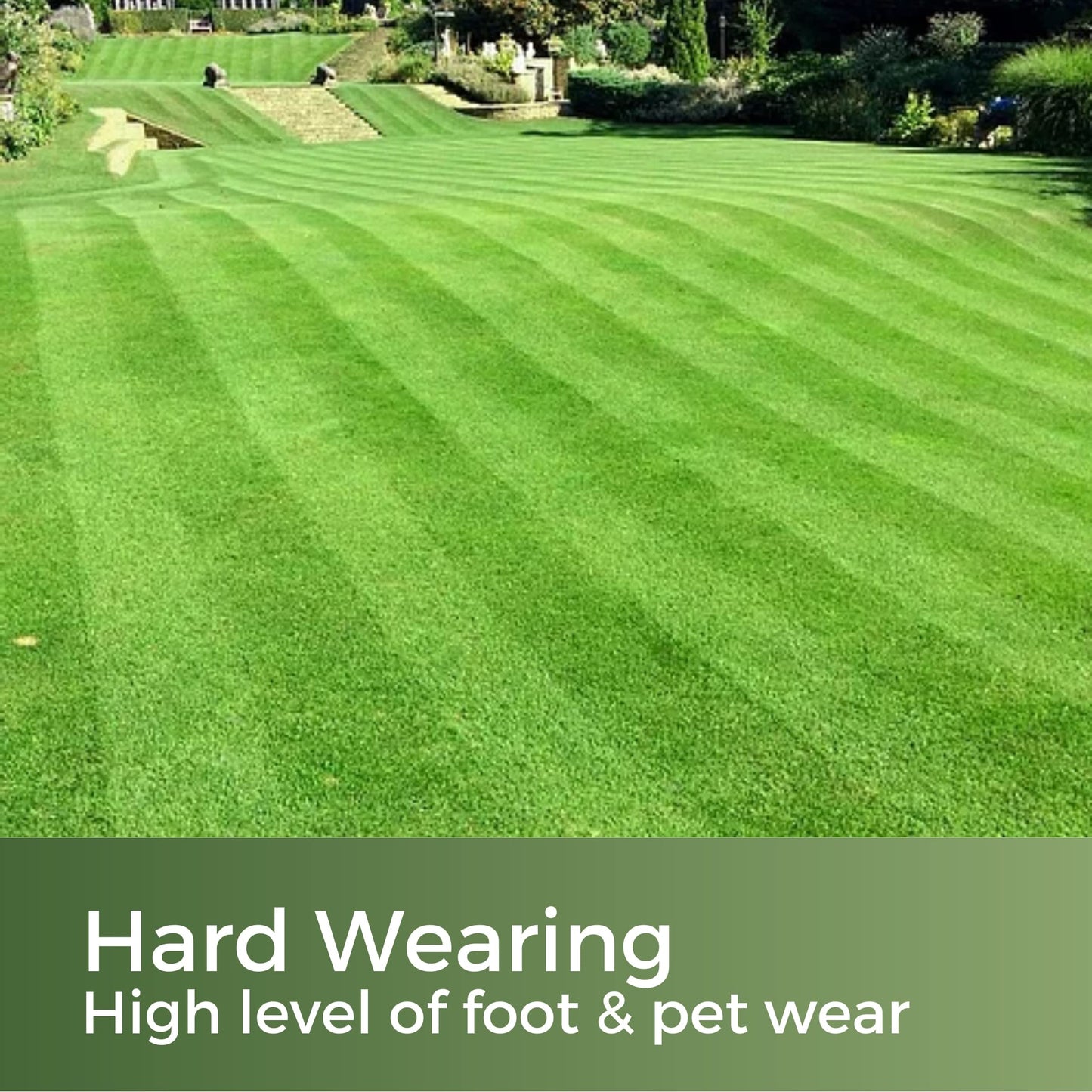Fast Growing Grass Seed UK - Repair Lawns and Patches Quick - Pet Friendly & Hardwearing - 5kg - Garden Lawncare Guy