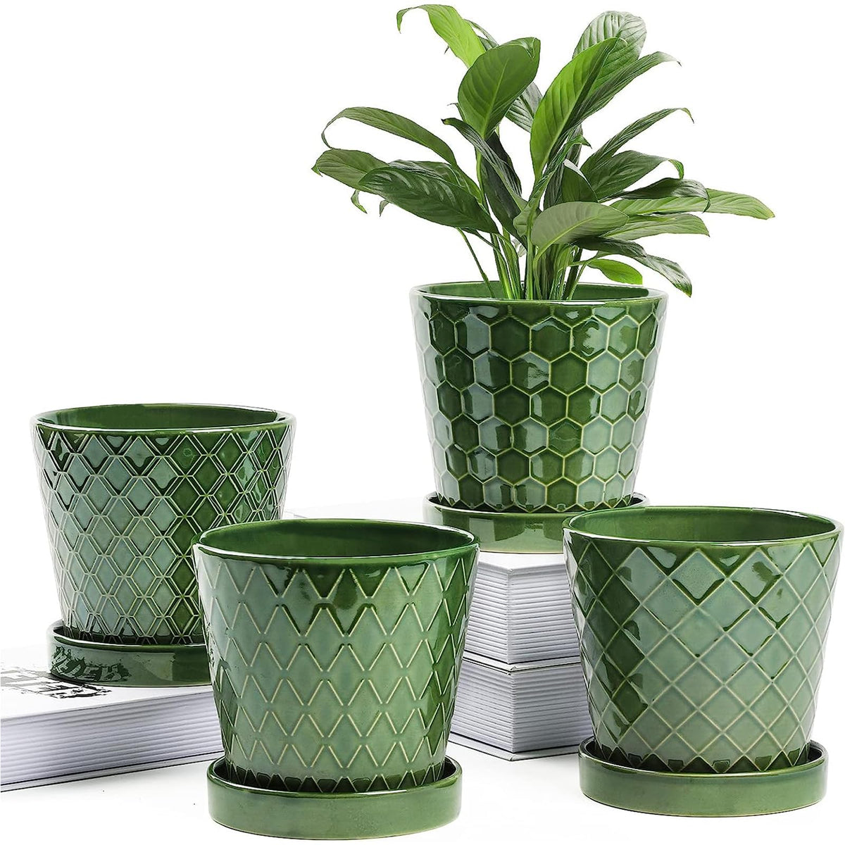 BUYMAX Plant Pots Indoor 5 inch Ceramic Flower Pot with Drainage Hole and Ceramic Tray - Gardening Home Desktop Office Windowsill Decoration Gift,