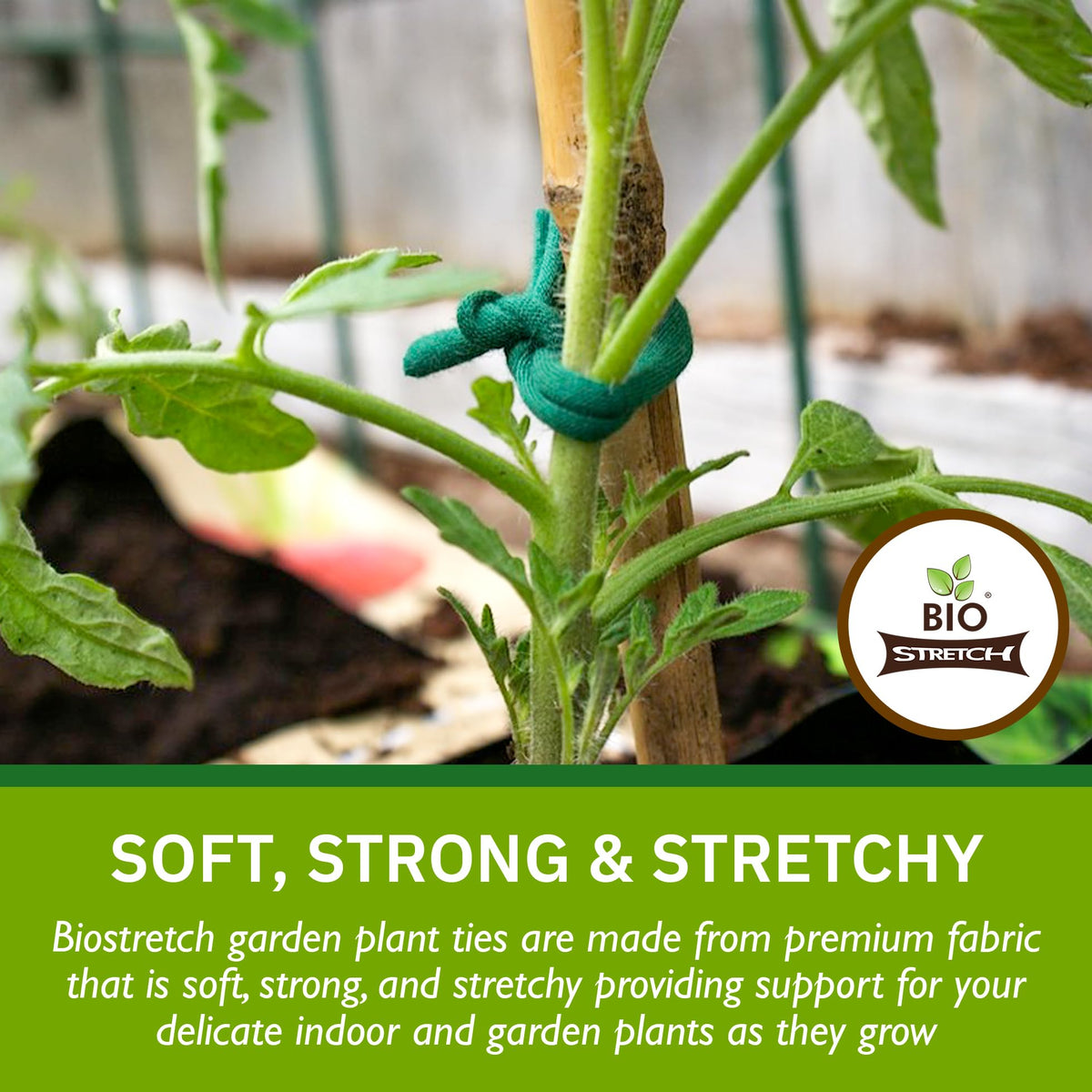 Biostretch Soft Garden Plant Ties for Indoor & Outdoor Plants - Strong & Stretchy Cut-to-Length Garden Twine for Climbing Plants, Tomato Vines & Home