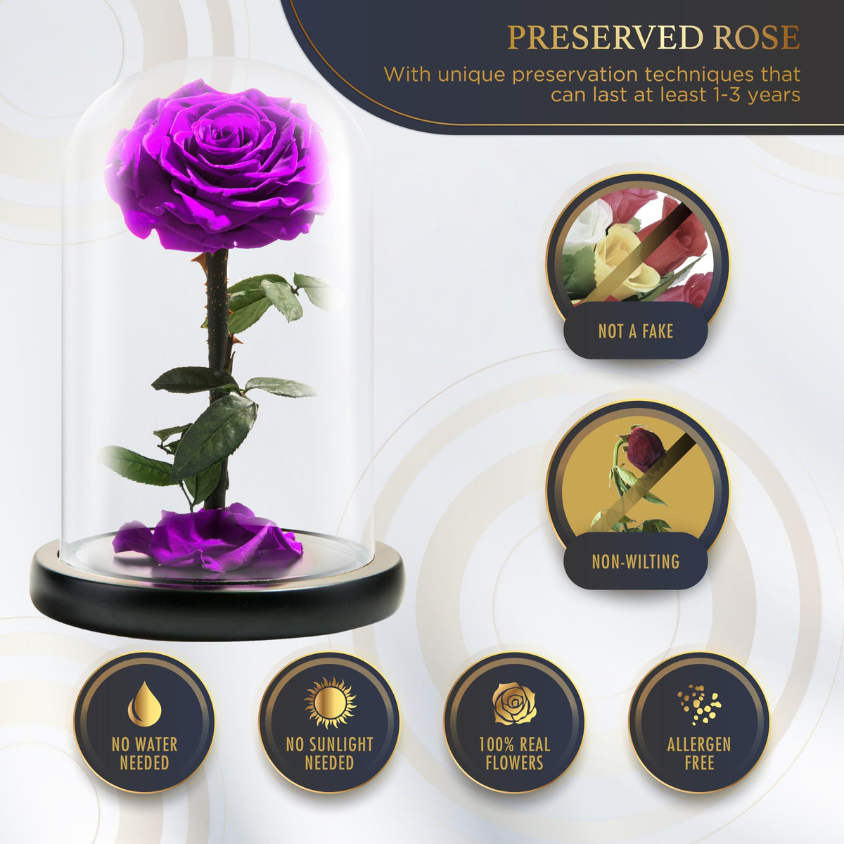 LOVAPPY Preserved Forever Rose in Glass Dome - Beauty and the Beast Romantic Gifts for Her - Eternal Rose Preserved Flowers - Preserved Rose Mother