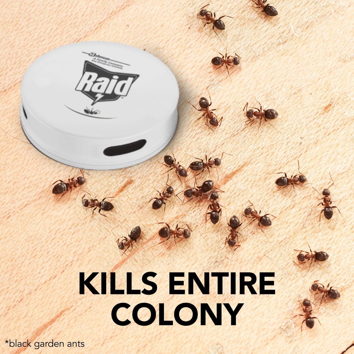 Raid Ant Bait Station, Long Lasting Ant Killer for Indoor and Outdoor Use, Destroys Nests, Pack of 12