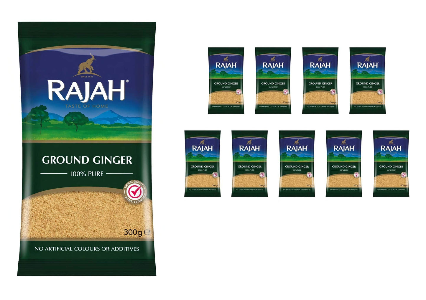 Rajah Spices Ground Ginger Powder | Ada | Adark | ADU | Adrak | (300g (Pack of 10))