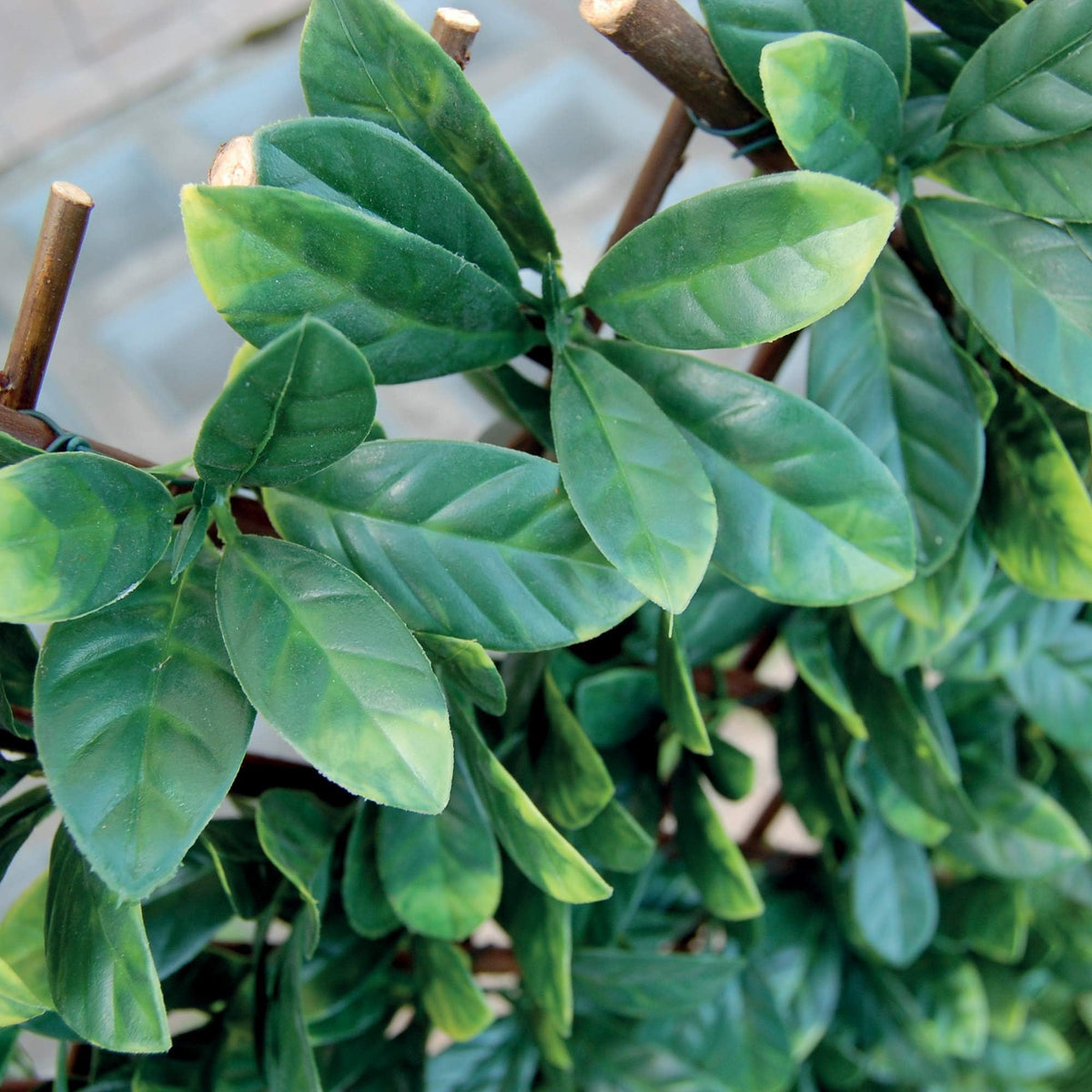 Tenax 1A150277 Synthetic Hedge on Extendible Trellis 200 x 4 x 100 cm Green