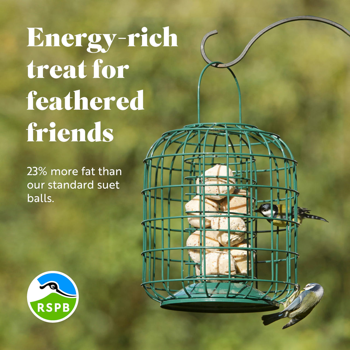 RSPB - Fat Balls for Wild Birds, High Energy Food, Suet Balls for Wild Birds, Made in the UK, Suitable for Year-Round Feeding (Box of 160)