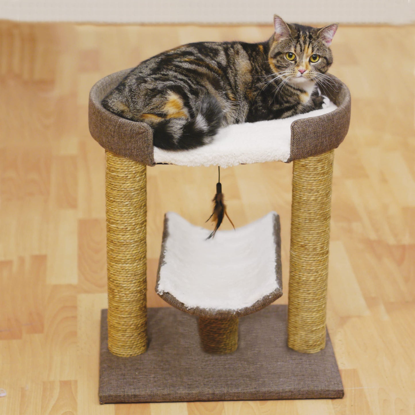 Rosewood Catwalk Collection Saffron Cat Scratcher/Post