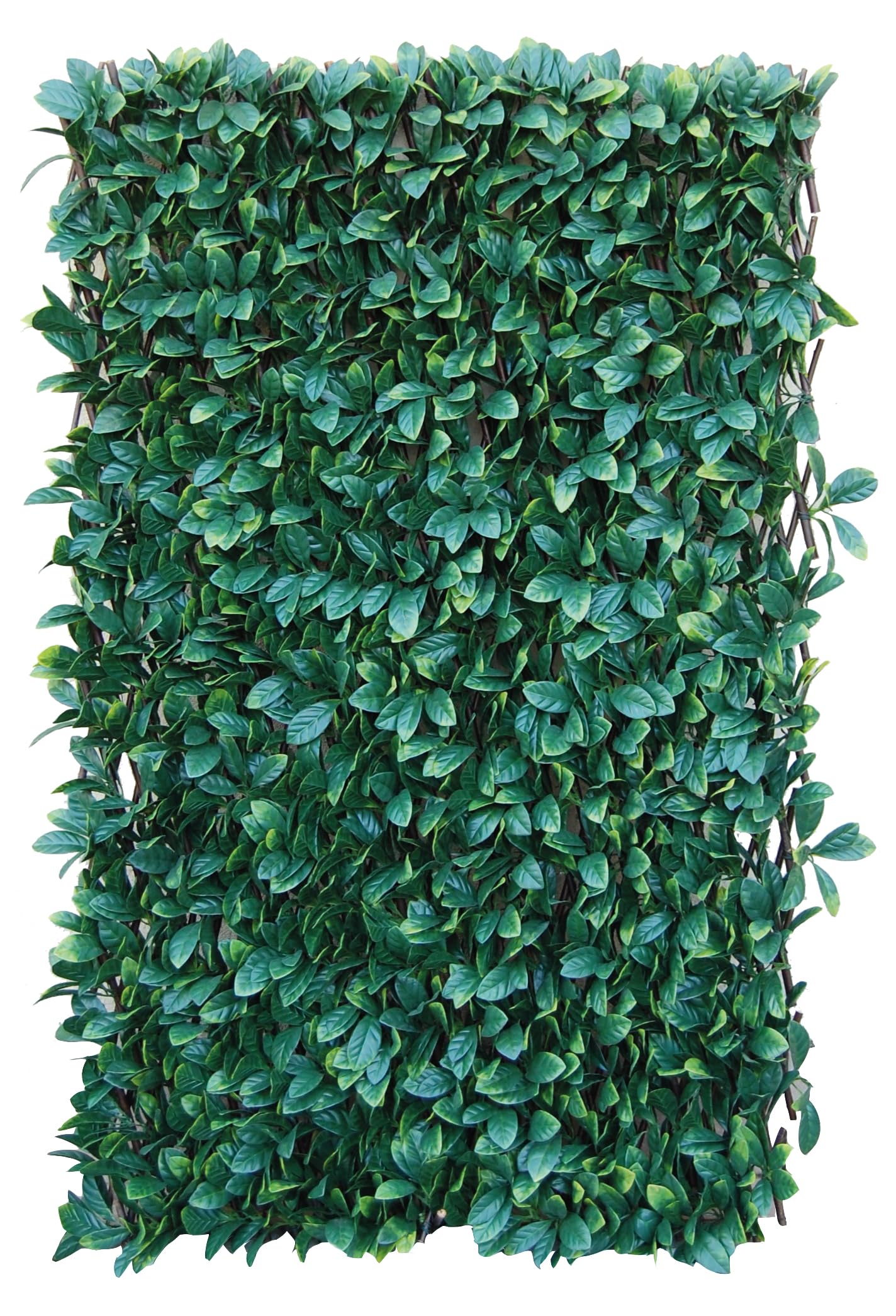 Tenax 1A150277 Synthetic Hedge on Extendible Trellis 200 x 4 x 100 cm Green