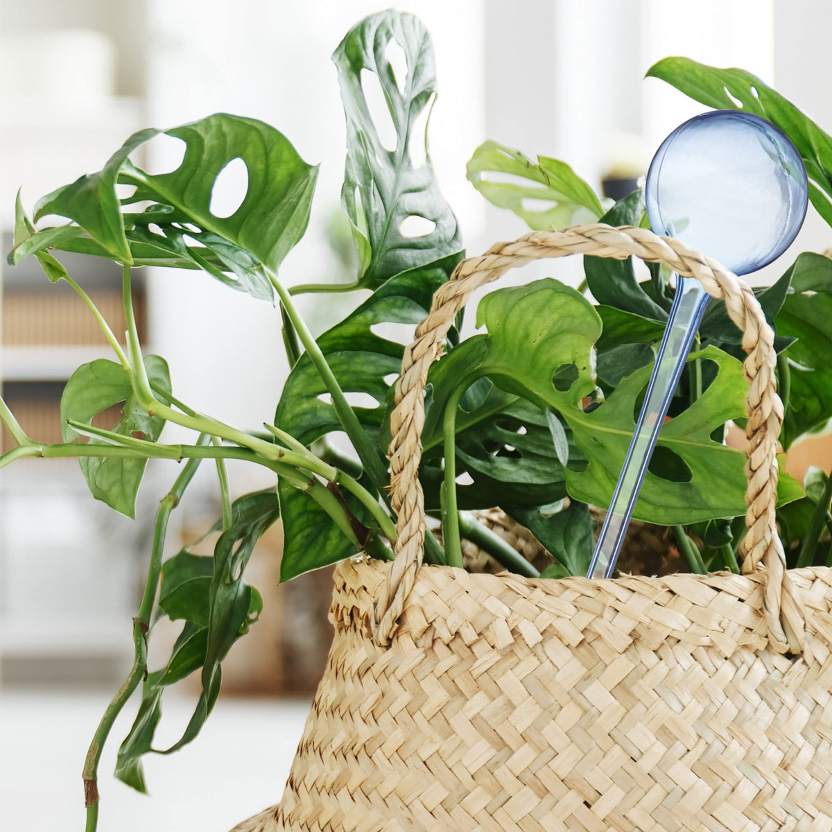 Relaxdays Watering Globes, Set of 4, Regulated Irrigation, 2 Weeks, Pot Plants, Plastic Sphere, Bulb, Transparent, ?: 8 cm
