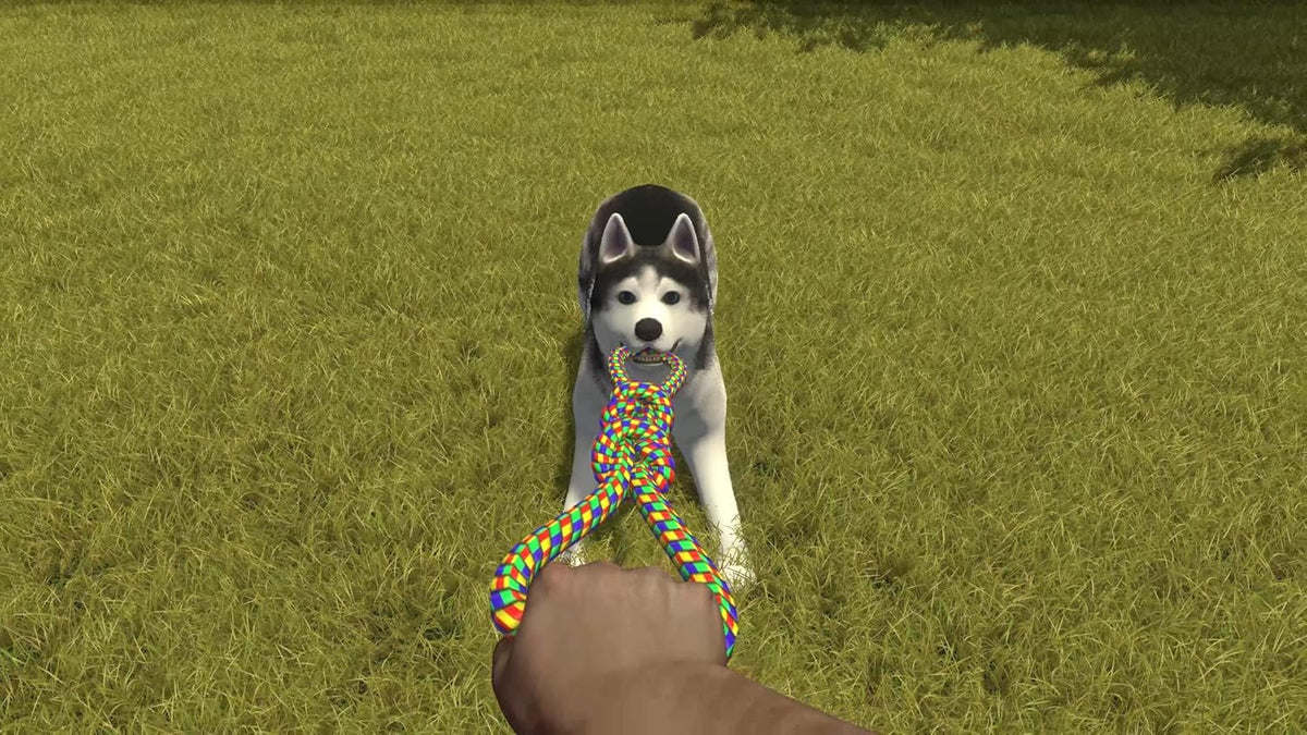 House Flipper – Pets Edition – Nintendo Switch