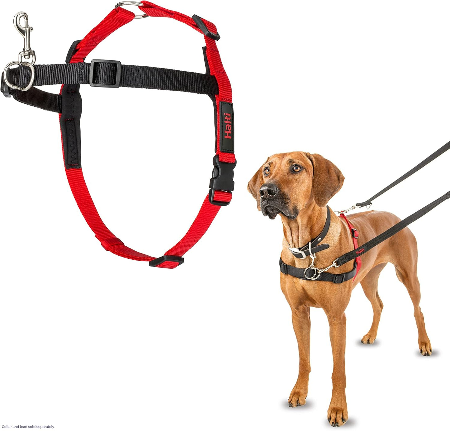 Halti Front Control Harness, Size Large, New but open scruffy box