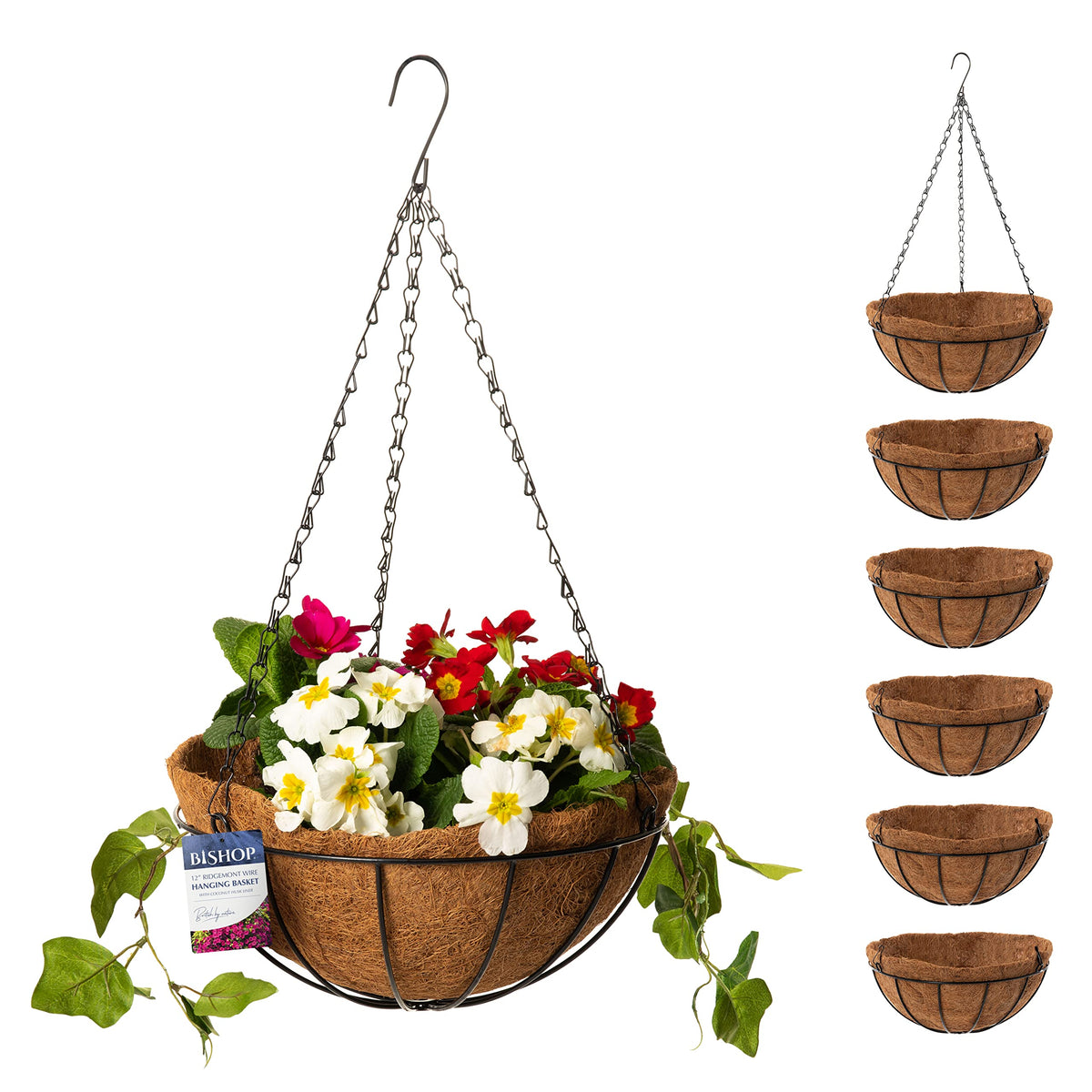 Bishop Hanging Basket With Liner ? Includes Coco Liners for Hanging Baskets, 12 inch Black Wire Basket ? Ideal Gardening Gifts For Mum ? Great Garden