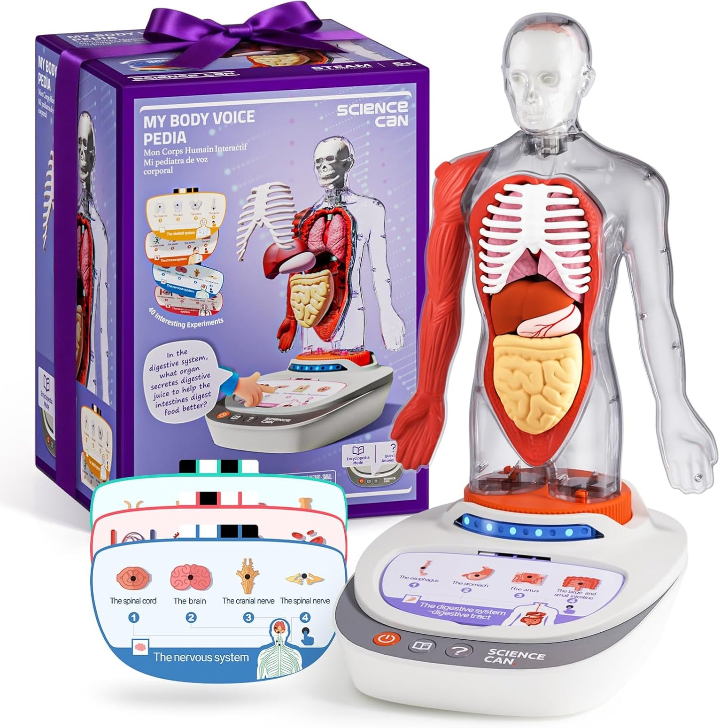 Science Can Human Body Model for Kids - Interactive Anatomy Model, Used good, missing arm bone, scruffy box