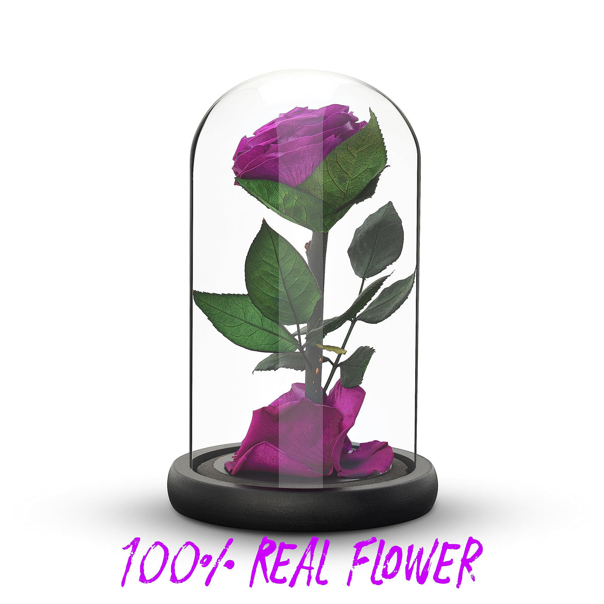 Eternal Forever Rose | Fresh Rose Gift | Single Rose Preserved for 5 Years | Handcrafted | Gifts for Women Birthday unique Unusual | Mothers Day,