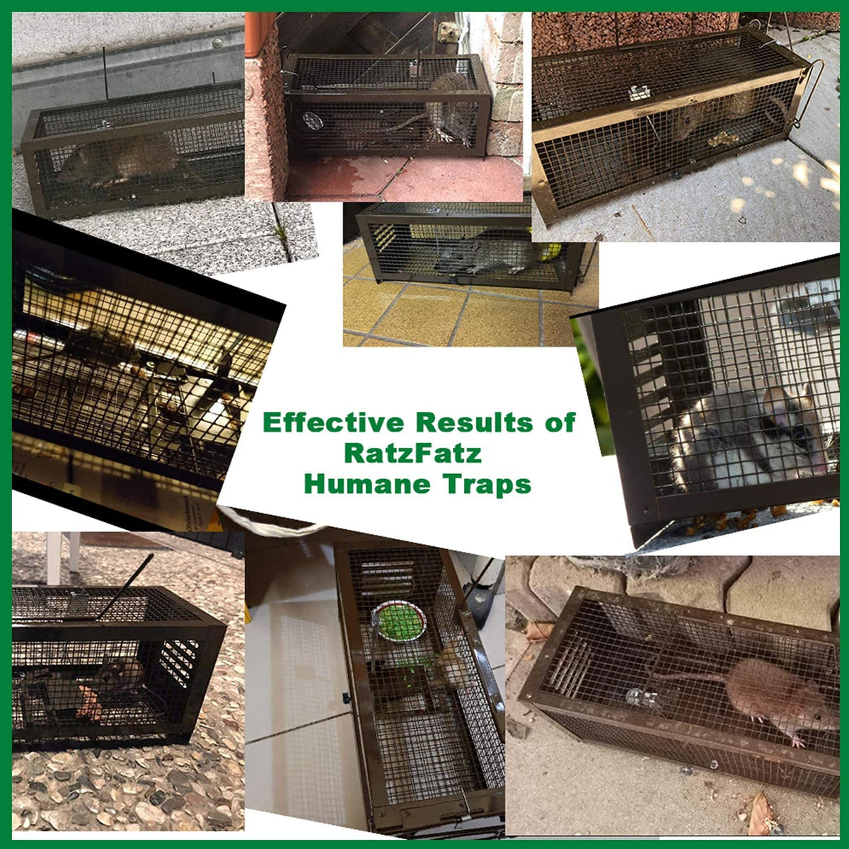 RatzFatz Humane rat traps, 2 Pcs Rat Cage Traps, Reusable Live-Catch Mousetrap, Adjustable Sensitivity, No Kill, for Indoor & Outdoor Use, Suitable
