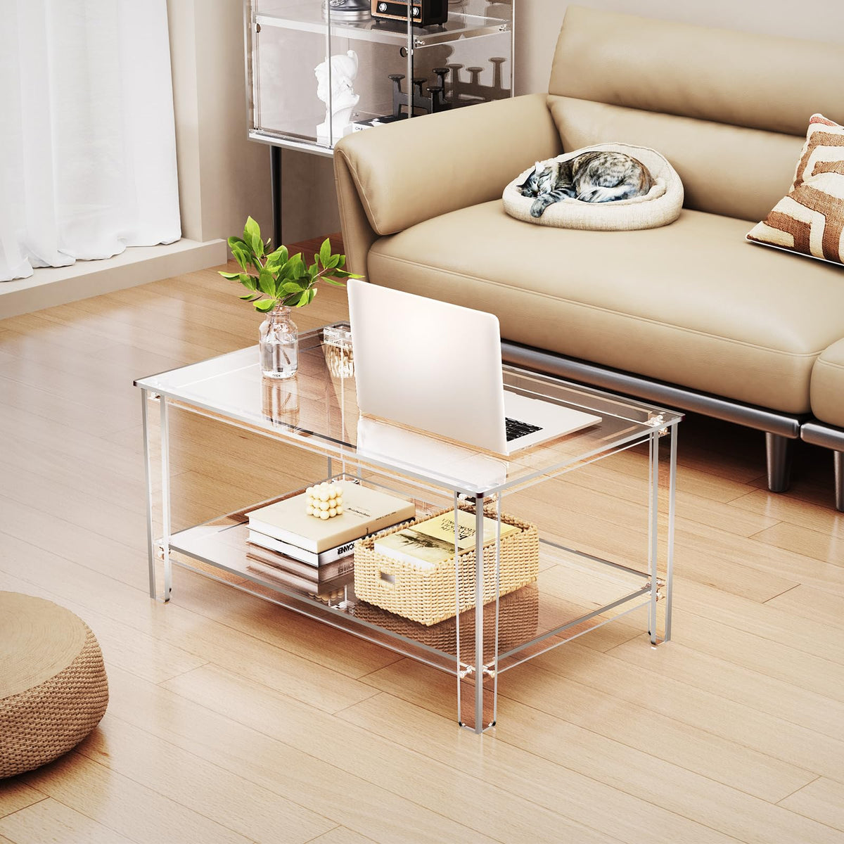 solaround Acrylic Coffee Table, with 2-Tier Open Storage Shelf, Space-saving Tea Tables for Living Room, Clear, 80 x 50 x 40 cm
