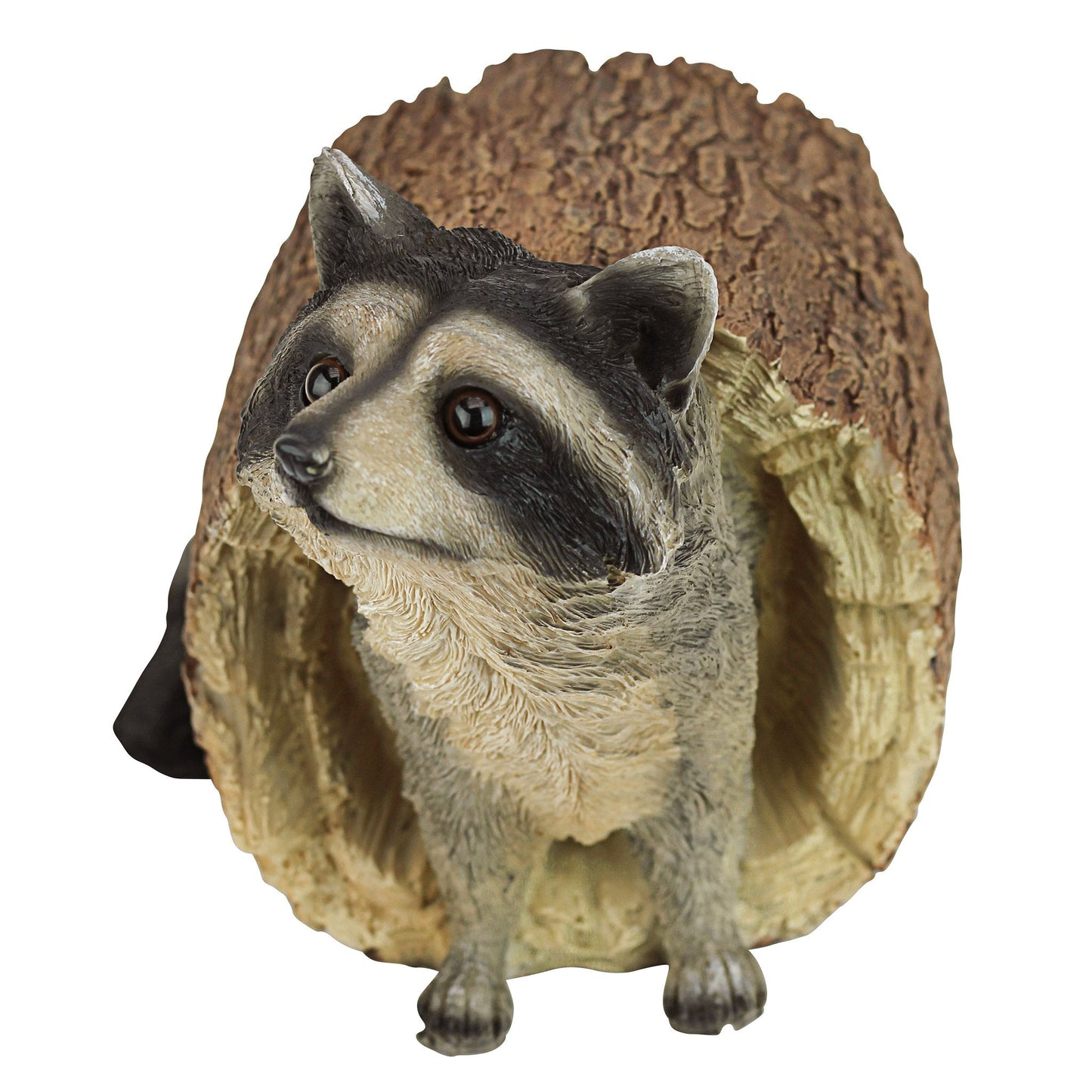Design Toscano Bandit the Raccoon Garden Animal Statue, 25.5 cm, Polyresin, Full Color, Brown