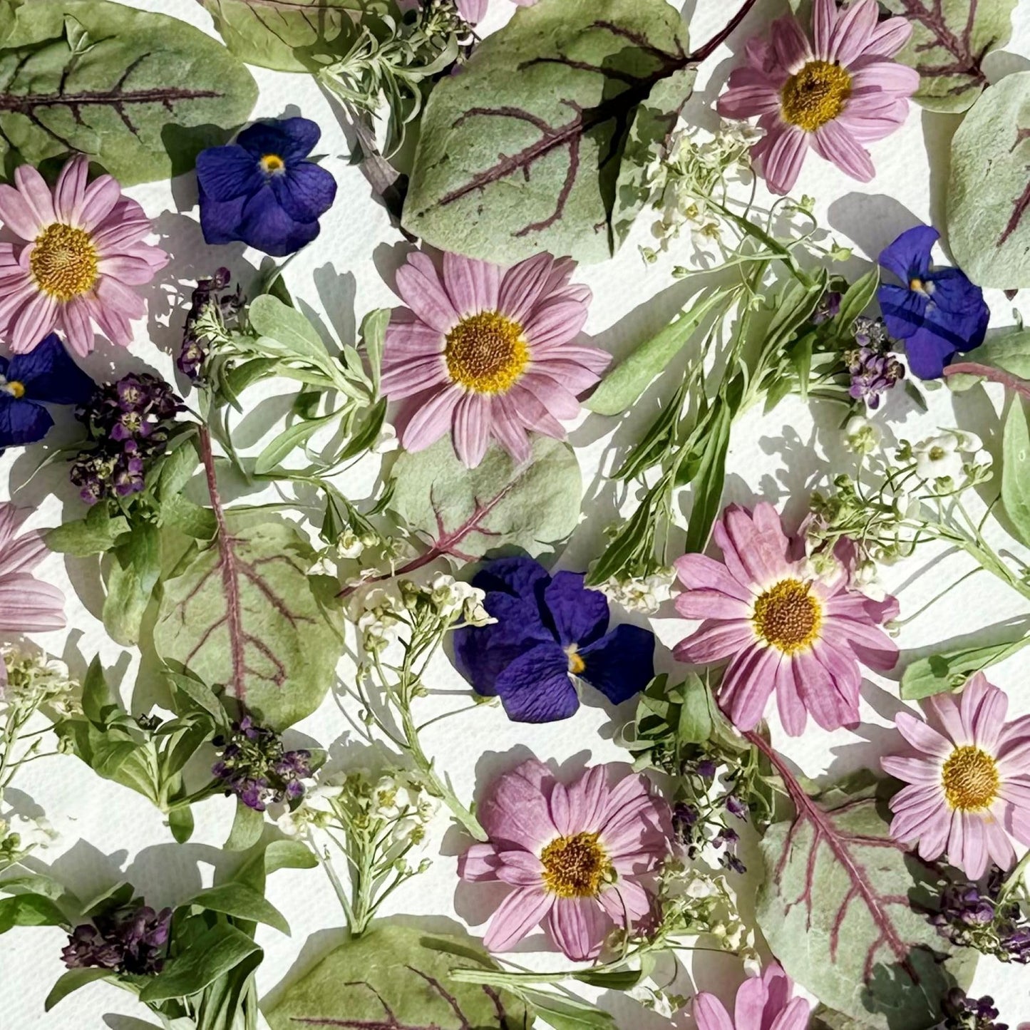 Edible Flowers - ?Phoebe? Freeze Dried Flower Petal and Leaf Mix ? Food Grade (546)