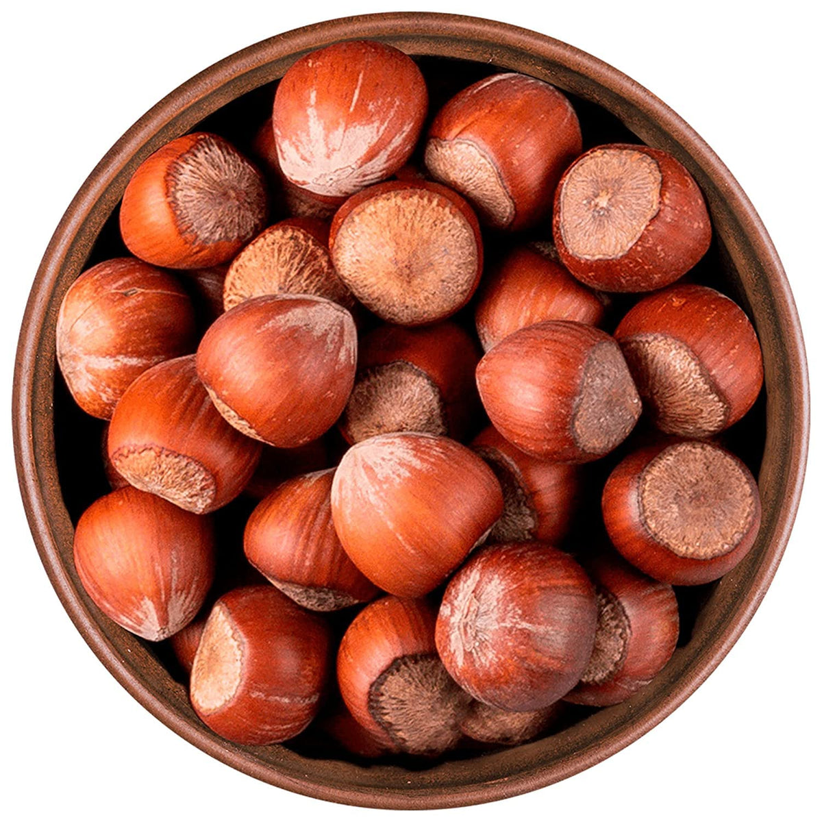 Raw Hazelnuts in Shell, Bulk Nuts in Shell, Fresh Large Nuts Premium Shelled (1 KG)