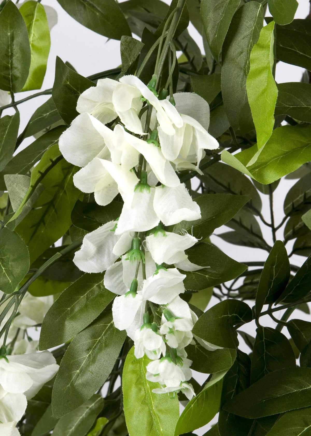 GreenBrokers Premium Artificial Wisteria 150cm/5ft Potted Plant, White Tree 5ft, 150cm