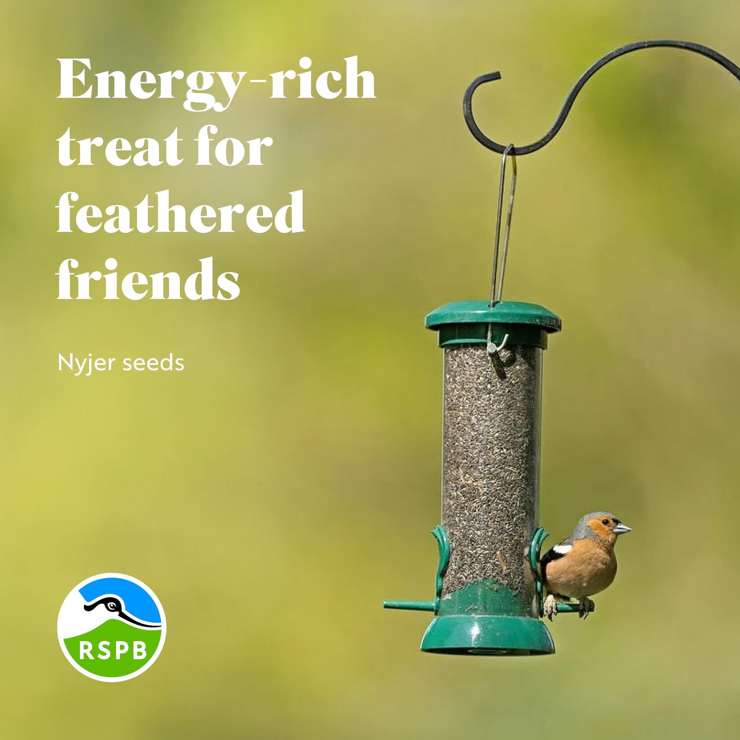 RSPB - Nyjer Seeds for Birds, Wild Bird Food for Small Birds, Oil-Rich and High Energy, Made in the UK, Suitable for Year-Round Feeding (12.75kg)