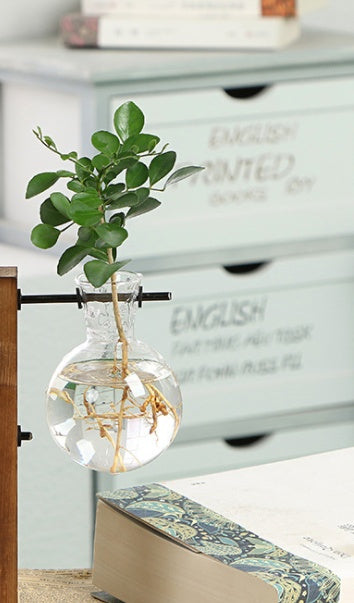 Creative Wooden Glass Bottle Plant Vase