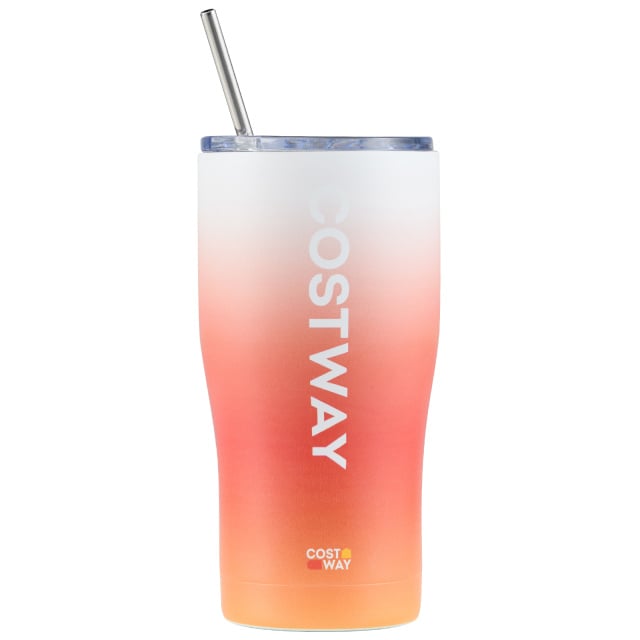Costway Tainless Steel Tumbler with Lid and Metal Straw