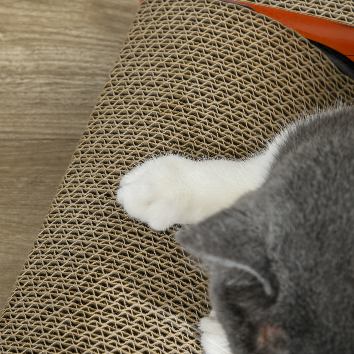 PawHut 2 in 1 Cat Scratching Board with Catnip, Car-shaped Cat Scratch Bed