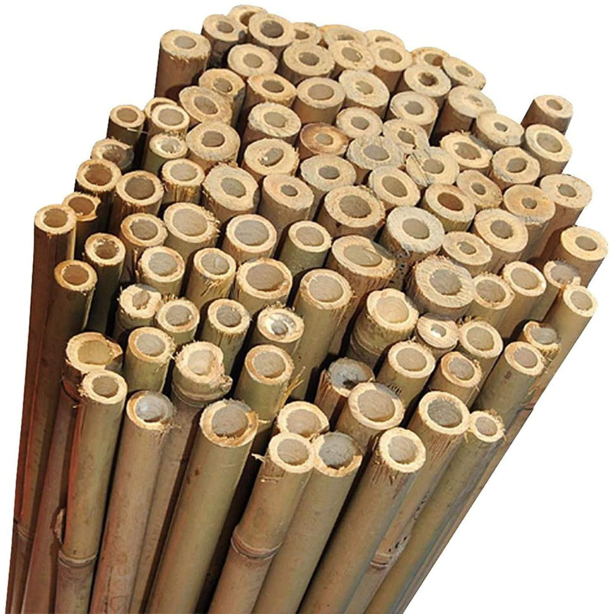ONE PIECE 5FT BAMBOO CANE 150 CM