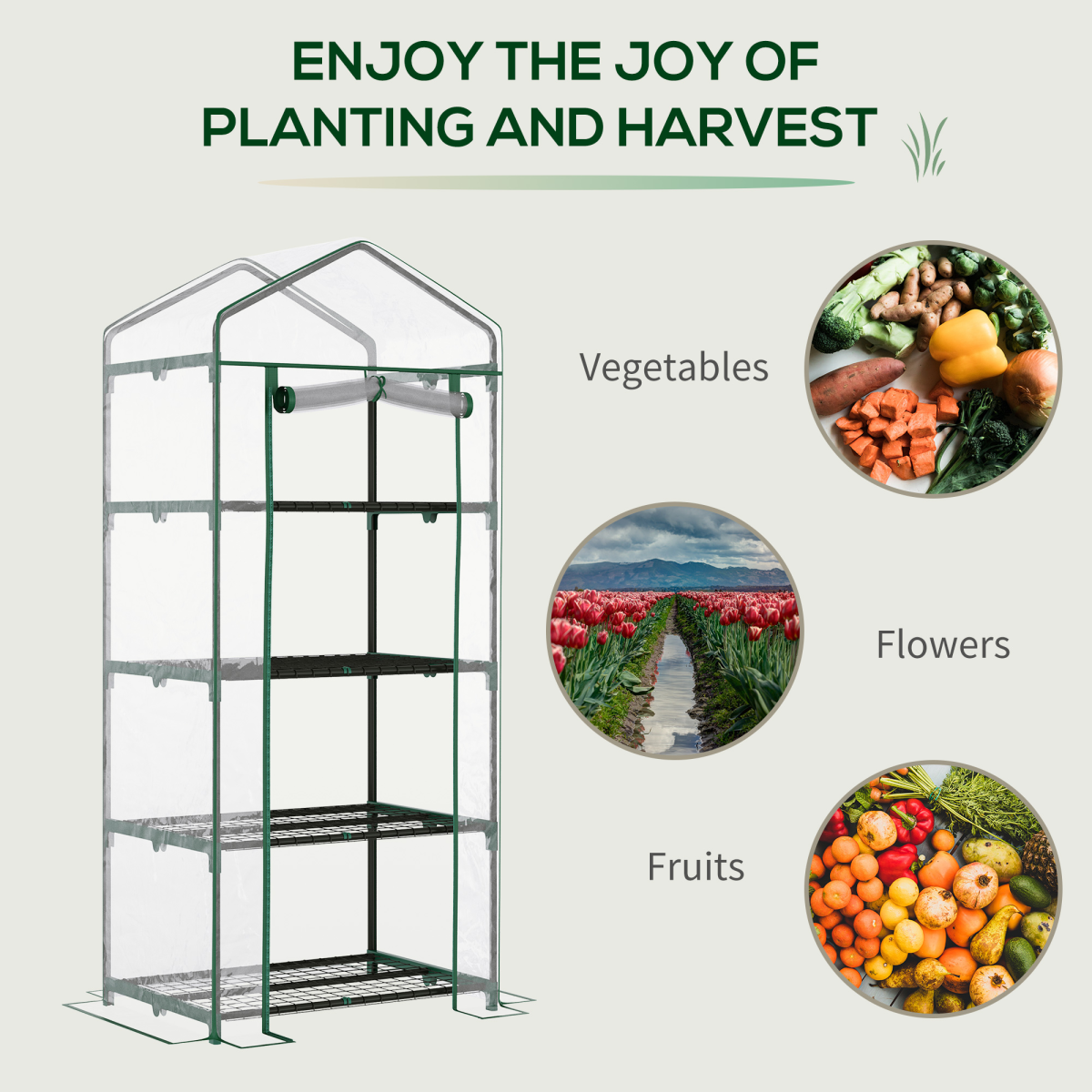 4 Tiers Mini Portable Greenhouse Metal Frame Transparent 160x70x50cm